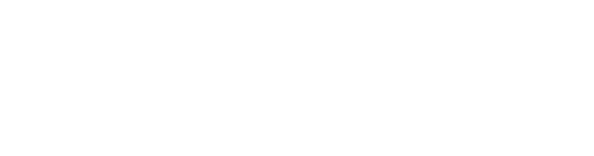 Forte Innovation Consulting